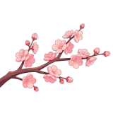 樱花